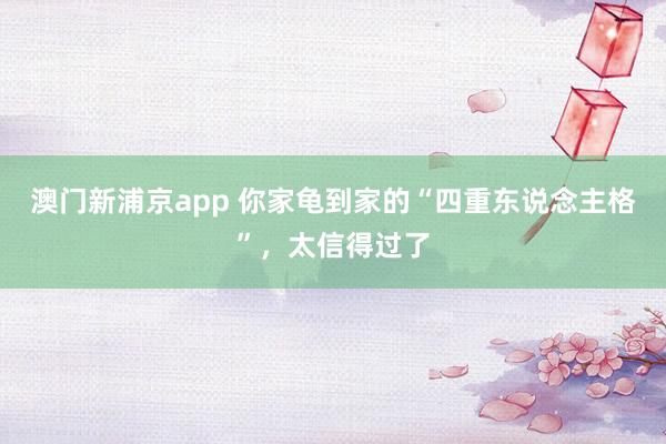 澳门新浦京app 你家龟到家的“四重东说念主格”，太信得过了