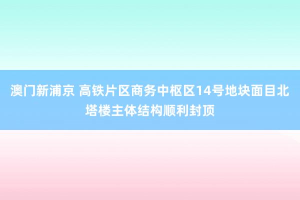 澳门新浦京 高铁片区商务中枢区14号地块面目北塔楼主体结构顺利封顶
