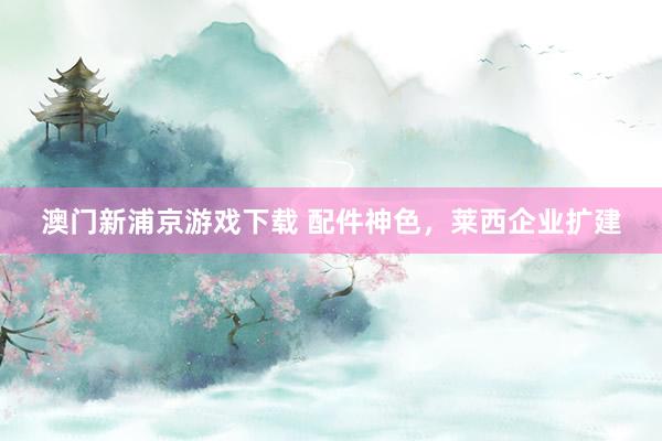 澳门新浦京游戏下载 配件神色，莱西企业扩建