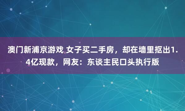 澳门新浦京游戏 女子买二手房，却在墙里抠出1.4亿现款，网友：东谈主民口头执行版