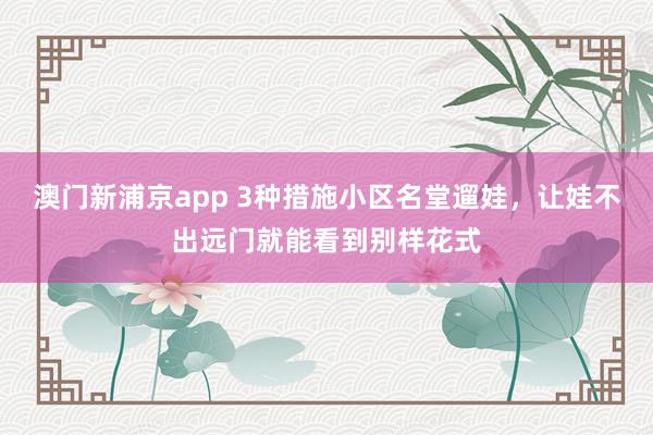 澳门新浦京app 3种措施小区名堂遛娃，让娃不出远门就能看到别样花式