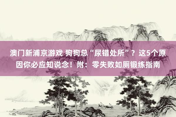 澳门新浦京游戏 狗狗总“尿错处所”？这5个原因你必应知说念！附：零失败如厕锻练指南