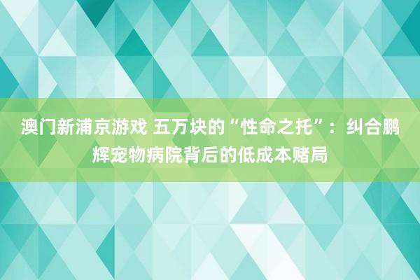 澳门新浦京游戏 五万块的“性命之托”：纠合鹏辉宠物病院背后的低成本赌局
