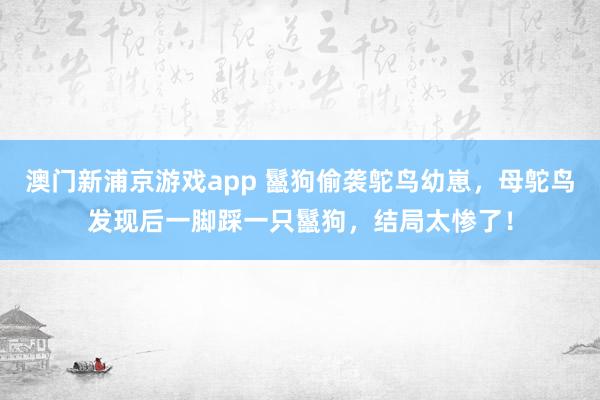 澳门新浦京游戏app 鬣狗偷袭鸵鸟幼崽，母鸵鸟发现后一脚踩一只鬣狗，结局太惨了！