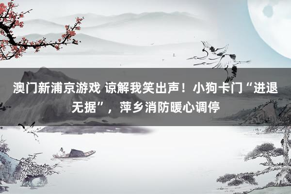 澳门新浦京游戏 谅解我笑出声！小狗卡门“进退无据”，萍乡消防暖心调停