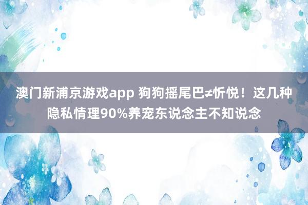 澳门新浦京游戏app 狗狗摇尾巴≠忻悦！这几种隐私情理90%养宠东说念主不知说念