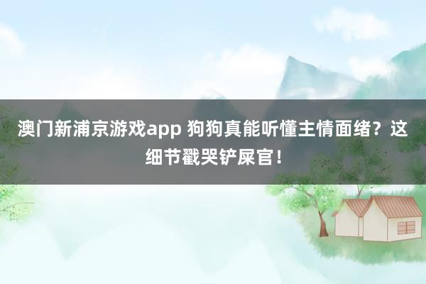 澳门新浦京游戏app 狗狗真能听懂主情面绪？这细节戳哭铲屎官！