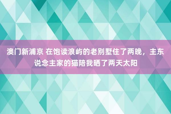 澳门新浦京 在饱读浪屿的老别墅住了两晚，主东说念主家的猫陪我晒了两天太阳