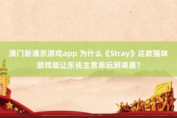 澳门新浦京游戏app 为什么《Stray》这款猫咪游戏能让东谈主贯串玩到凌晨？