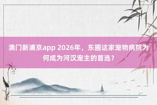 澳门新浦京app 2026年，东圃这家宠物病院为何成为河汉宠主的首选？