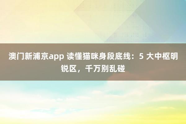 澳门新浦京app 读懂猫咪身段底线：5 大中枢明锐区，千万别乱碰