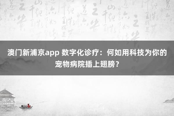 澳门新浦京app 数字化诊疗：何如用科技为你的宠物病院插上翅膀？