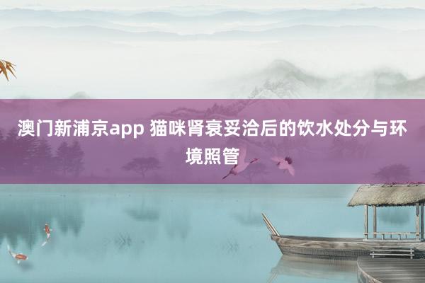 澳门新浦京app 猫咪肾衰妥洽后的饮水处分与环境照管