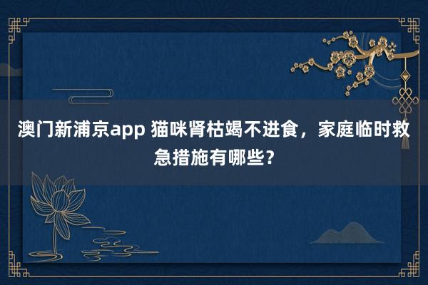 澳门新浦京app 猫咪肾枯竭不进食，家庭临时救急措施有哪些？