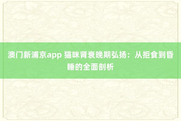 澳门新浦京app 猫咪肾衰晚期弘扬：从拒食到昏睡的全面剖析
