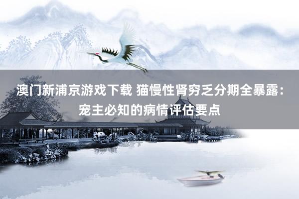 澳门新浦京游戏下载 猫慢性肾穷乏分期全暴露：宠主必知的病情评估要点