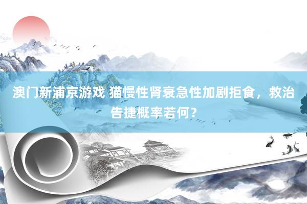 澳门新浦京游戏 猫慢性肾衰急性加剧拒食，救治告捷概率若何？