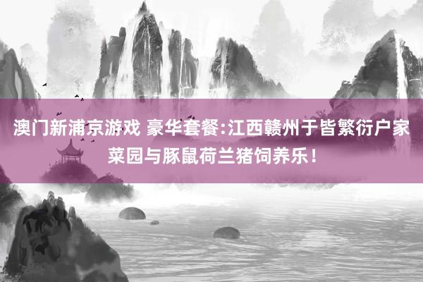 澳门新浦京游戏 豪华套餐:江西赣州于皆繁衍户家菜园与豚鼠荷兰猪饲养乐！