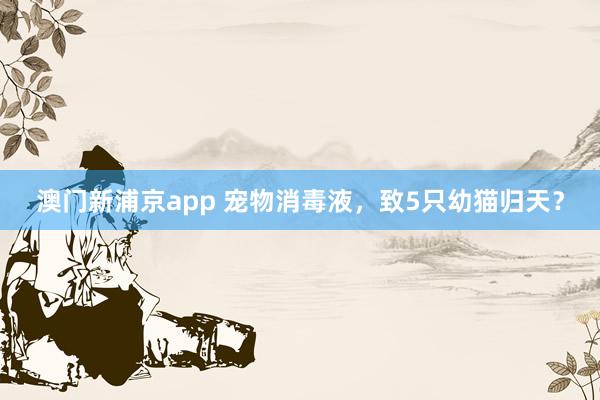 澳门新浦京app 宠物消毒液，致5只幼猫归天？