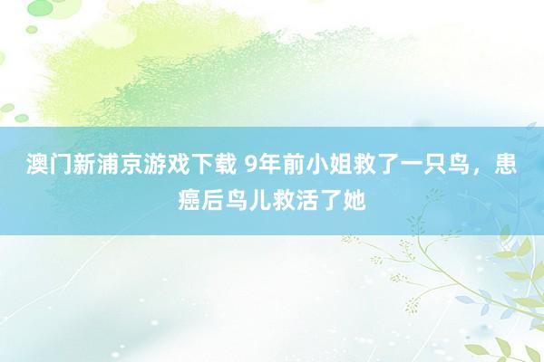 澳门新浦京游戏下载 9年前小姐救了一只鸟，患癌后鸟儿救活了她