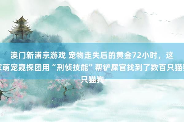 澳门新浦京游戏 宠物走失后的黄金72小时，这家萌宠窥探团用“刑侦技能”帮铲屎官找到了数百只猫狗
