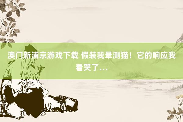 澳门新浦京游戏下载 假装我晕测猫！它的响应我看哭了…