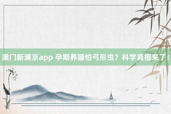 澳门新浦京app 孕期养猫怕弓形虫？科学真相来了！