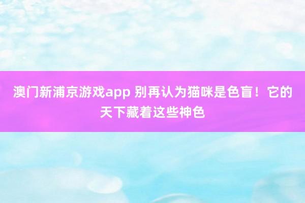 澳门新浦京游戏app 别再认为猫咪是色盲！它的天下藏着这些神色