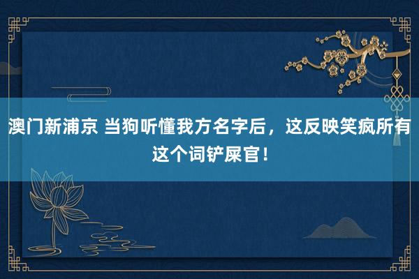 澳门新浦京 当狗听懂我方名字后，这反映笑疯所有这个词铲屎官！