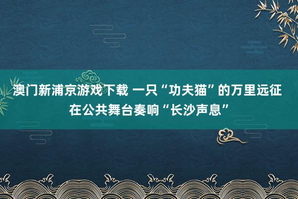澳门新浦京游戏下载 一只“功夫猫”的万里远征 在公共舞台奏响“长沙声息”
