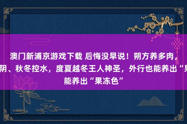 澳门新浦京游戏下载 后悔没早说！朔方养多肉，春夏遮阴、秋冬控水，度夏越冬王人神圣，外行也能养出“果冻色”