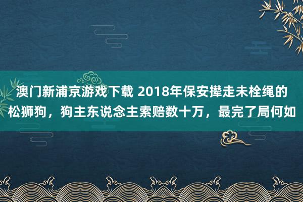 澳门新浦京游戏下载 2018年保安撵走未栓绳的松狮狗，狗主东说念主索赔数十万，最完了局何如