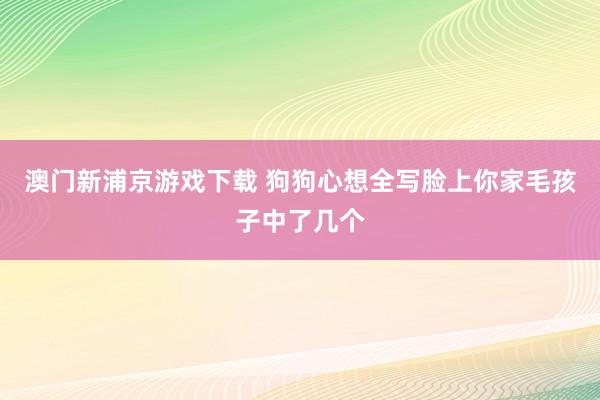 澳门新浦京游戏下载 狗狗心想全写脸上你家毛孩子中了几个