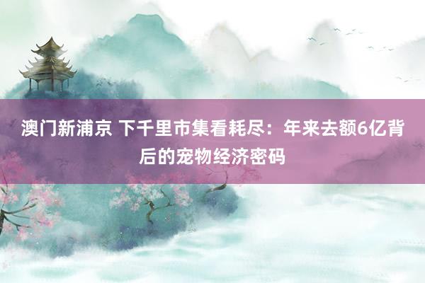 澳门新浦京 下千里市集看耗尽：年来去额6亿背后的宠物经济密码