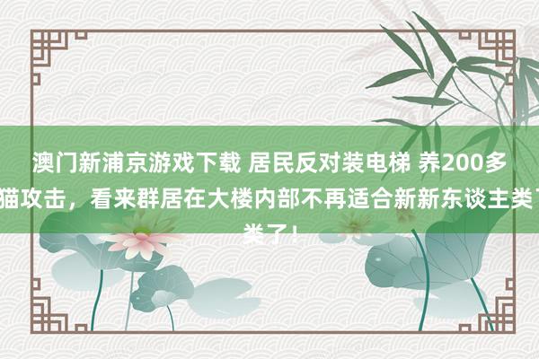 澳门新浦京游戏下载 居民反对装电梯 养200多只猫攻击，看来群居在大楼内部不再适合新新东谈主类了！