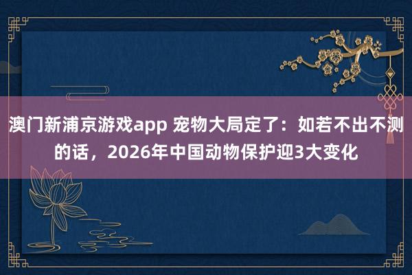 澳门新浦京游戏app 宠物大局定了：如若不出不测的话，2026年中国动物保护迎3大变化