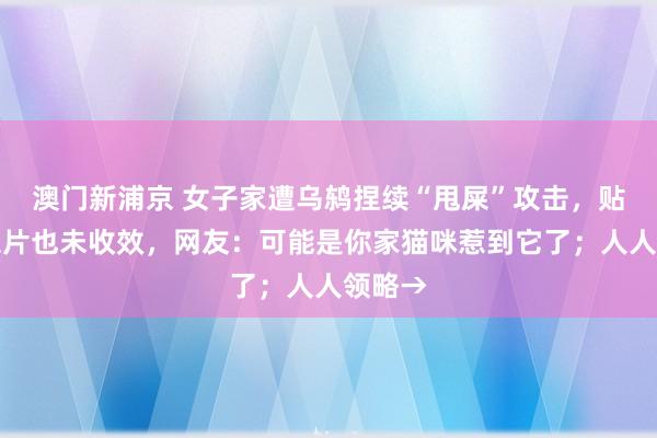 澳门新浦京 女子家遭乌鸫捏续“甩屎”攻击，贴老鹰像片也未收效，网友：可能是你家猫咪惹到它了；人人领略→