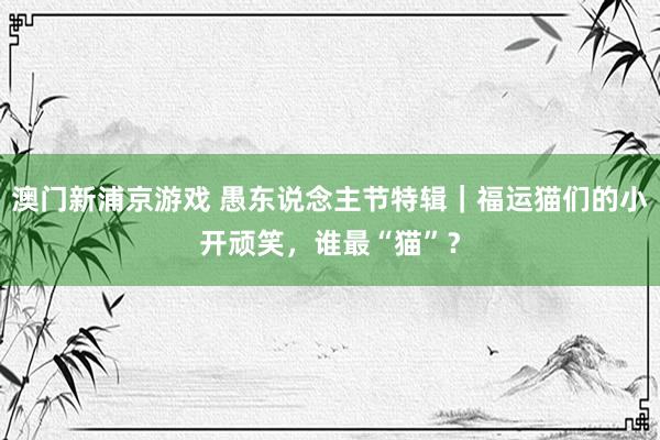 澳门新浦京游戏 愚东说念主节特辑｜福运猫们的小开顽笑，谁最“猫”？