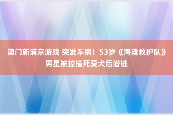 澳门新浦京游戏 突发车祸！53岁《海滩救护队》男星被控撞死爱犬后潜逃