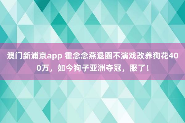 澳门新浦京app 霍念念燕退圈不演戏改养狗花400万，如今狗子亚洲夺冠，服了！