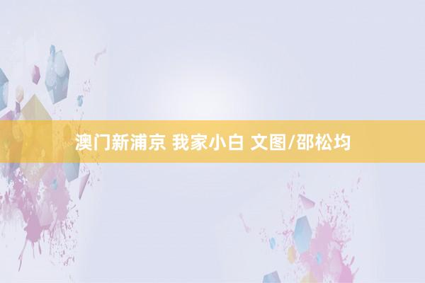 澳门新浦京 我家小白 文图/邵松均