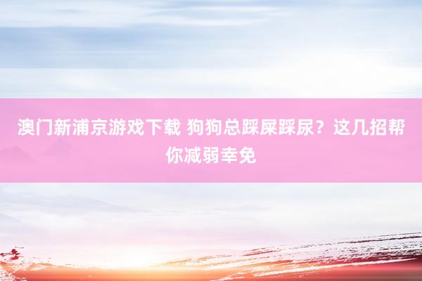 澳门新浦京游戏下载 狗狗总踩屎踩尿？这几招帮你减弱幸免