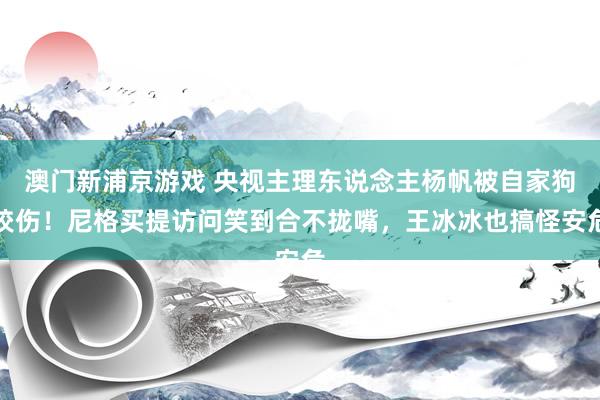 澳门新浦京游戏 央视主理东说念主杨帆被自家狗咬伤！尼格买提访问笑到合不拢嘴，王冰冰也搞怪安危