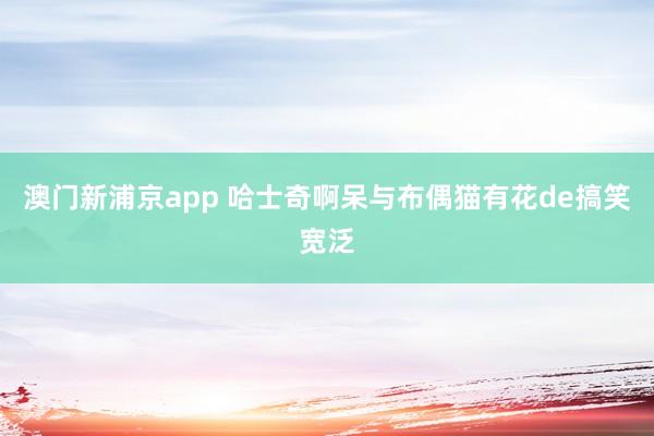 澳门新浦京app 哈士奇啊呆与布偶猫有花de搞笑宽泛