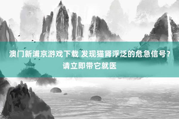 澳门新浦京游戏下载 发现猫肾浮泛的危急信号？请立即带它就医