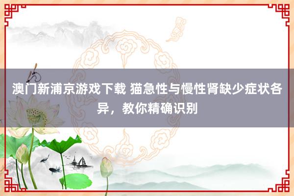 澳门新浦京游戏下载 猫急性与慢性肾缺少症状各异，教你精确识别