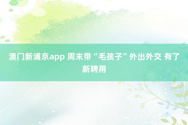 澳门新浦京app 周末带“毛孩子”外出外交 有了新聘用