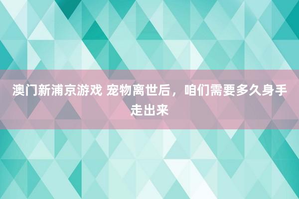 澳门新浦京游戏 宠物离世后，咱们需要多久身手走出来