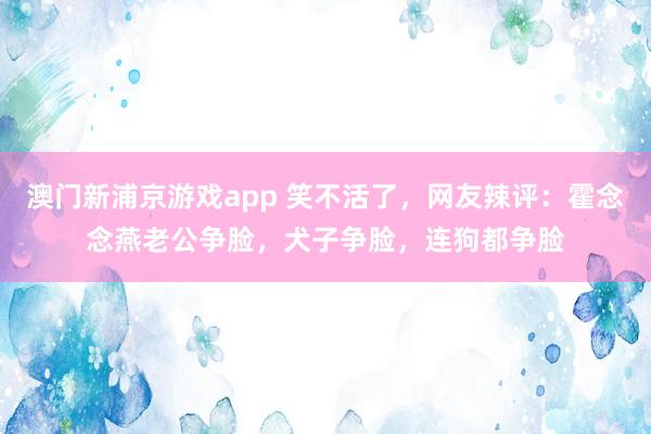 澳门新浦京游戏app 笑不活了，网友辣评：霍念念燕老公争脸，犬子争脸，连狗都争脸