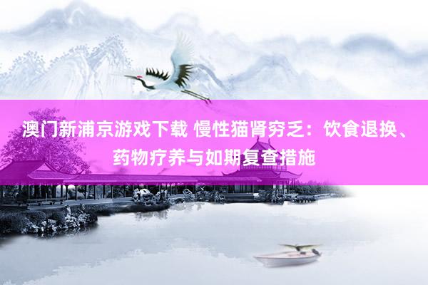 澳门新浦京游戏下载 慢性猫肾穷乏：饮食退换、药物疗养与如期复查措施